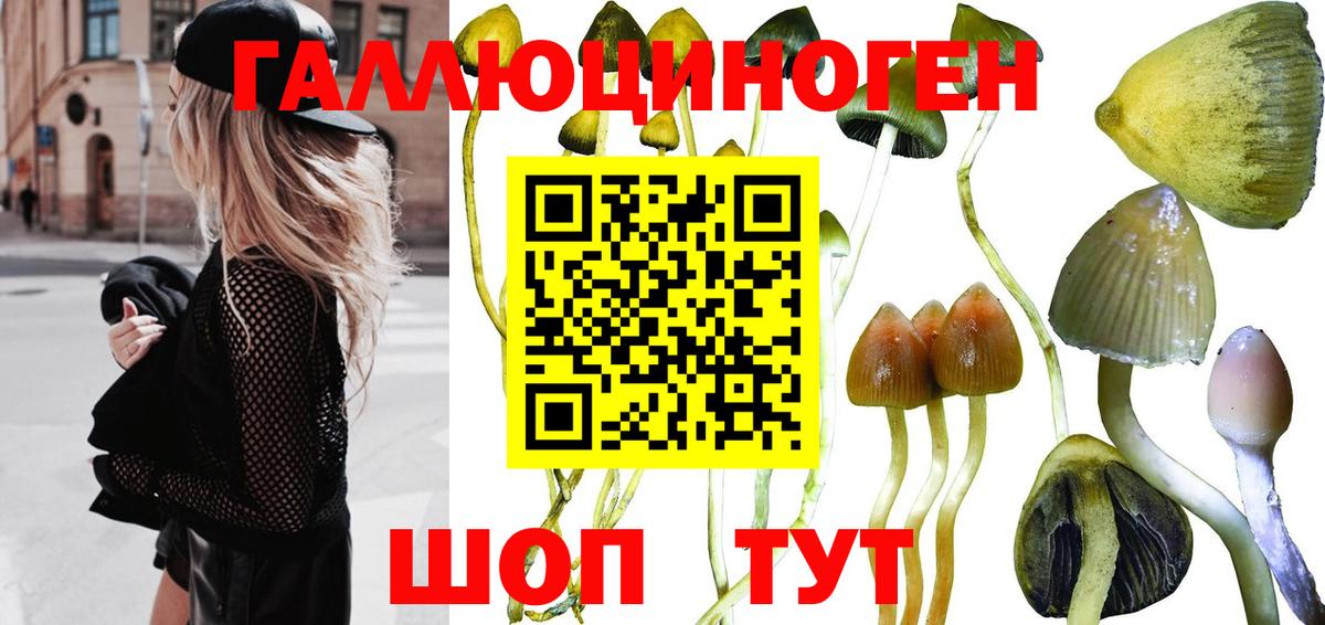 Псилоцибиновые грибы ЛСД Севастополь